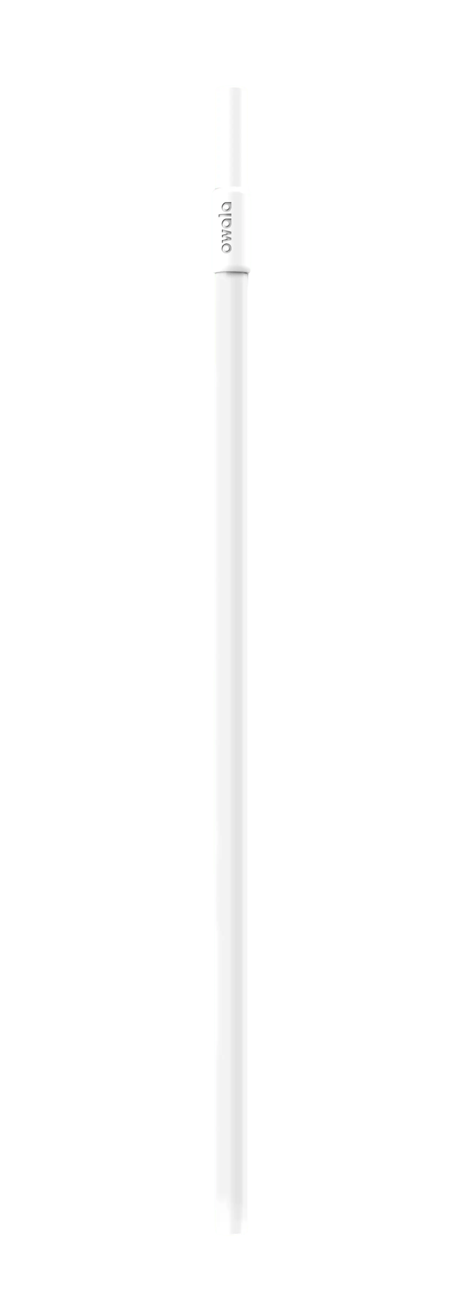 Replacement Straws